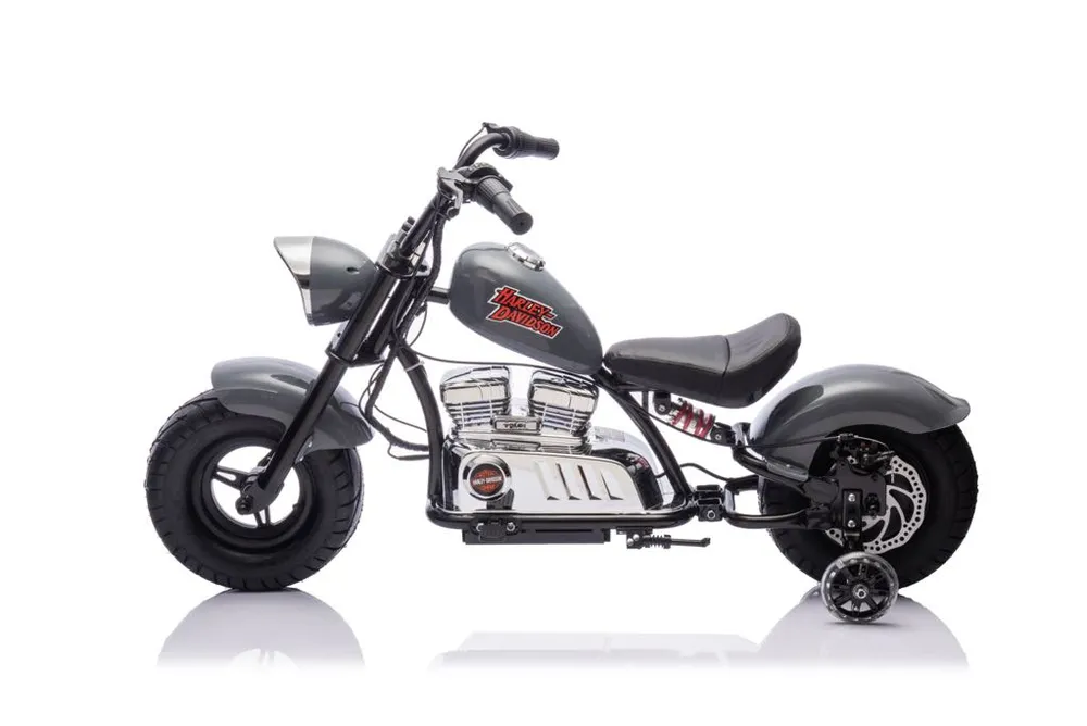 אופנוע חשמלי-הארלי דיוידסון לילדים-HARLEY DAVIDSON 350W 36V