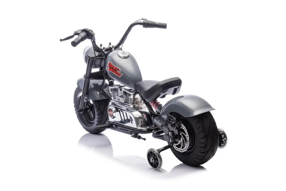 אופנוע חשמלי-הארלי דיוידסון לילדים-HARLEY DAVIDSON 350W 36V