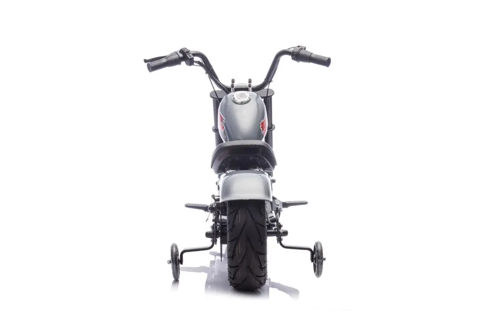 אופנוע חשמלי-הארלי דיוידסון לילדים-HARLEY DAVIDSON 350W 36V