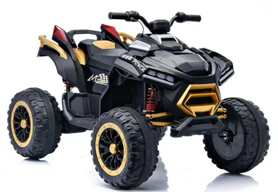 טרטורון לילדים- פיוצ'ר 24V 4X4